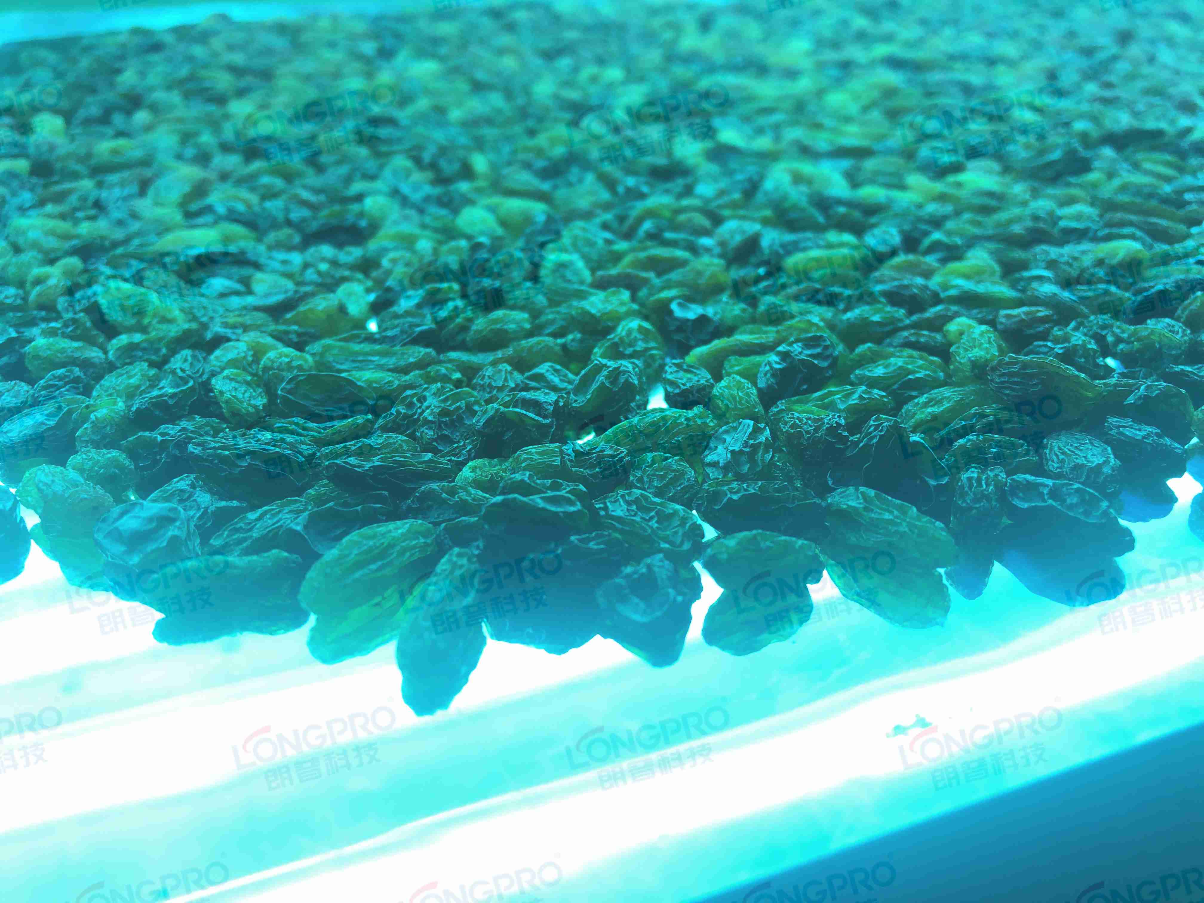 食品細(xì)菌超標(biāo)怎么解決？utf-8