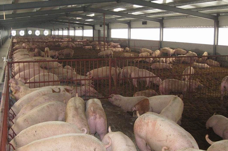 養(yǎng)殖場(chǎng)適合用紫外線消毒燈嗎？