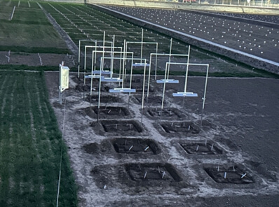 遠(yuǎn)紅外增溫模擬試驗(yàn):研究溫度上升對(duì)作物生長(zhǎng)的影響