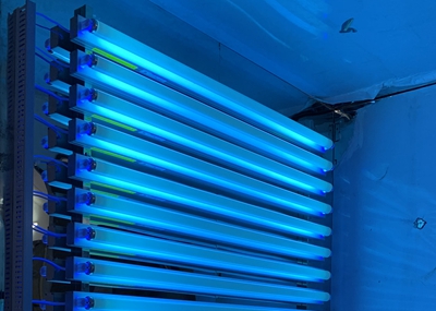 如何通過UV紫外光照實驗箱構(gòu)建動物皮膚光老化模型？