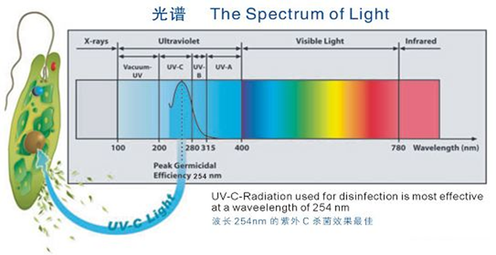 科普！紫外線(xiàn)殺菌燈對(duì)人體影響及正確使用方法