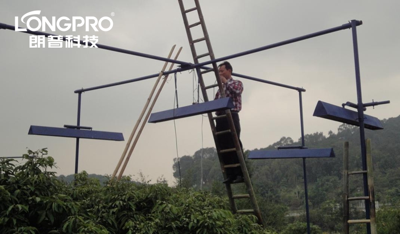 華南植物園桂味荔枝增溫模擬實(shí)驗(yàn).jpg 華南植物園桂味荔枝增溫模擬實(shí)驗(yàn).jpg